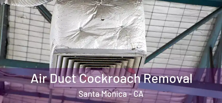 Air Duct Cockroach Removal Santa Monica - CA