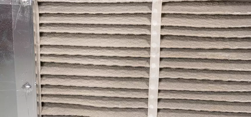 Mobile Car AC Filter Replacement in Santa Monica