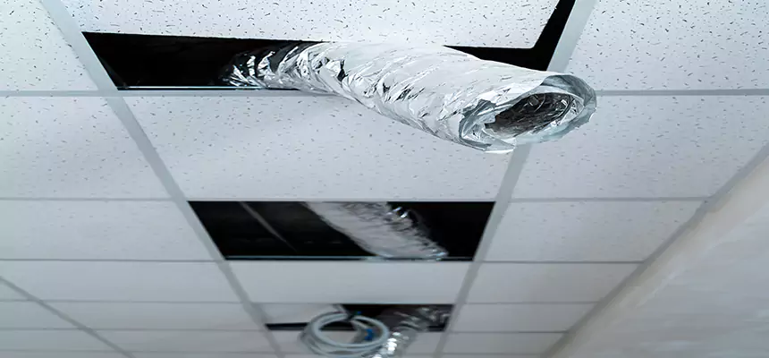 Our Air Duct Pet Hair Removal Services in Santa Monica, CA