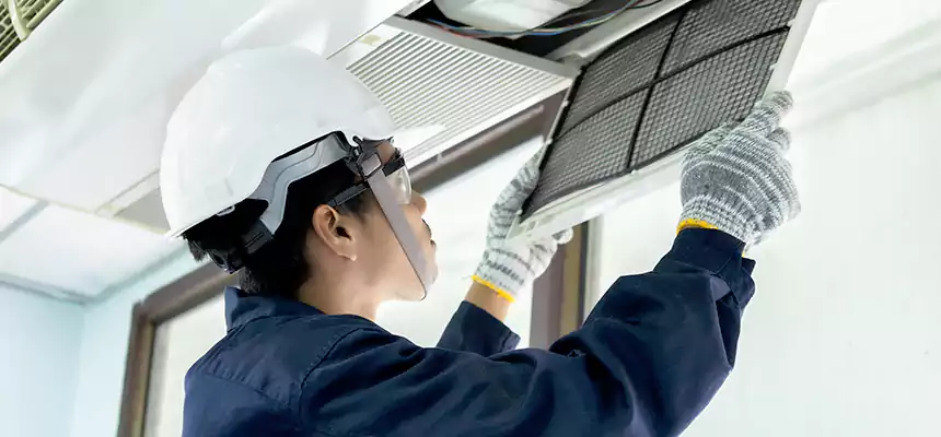 Our Mold & Mildew Removal from Air Ducts Services in Santa Monica, CA