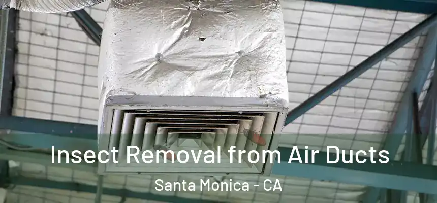 Insect Removal from Air Ducts Santa Monica - CA