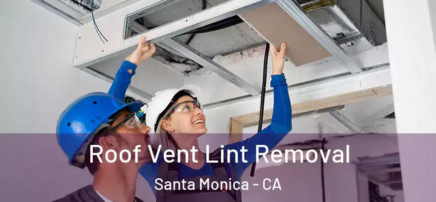 Roof Vent Lint Removal Santa Monica - CA