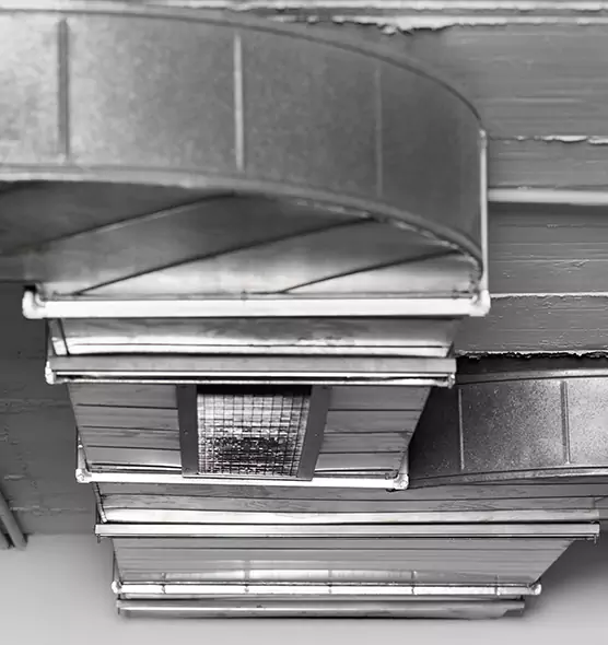 Professional Air Duct Pet Hair Removal in Santa Monica, CA