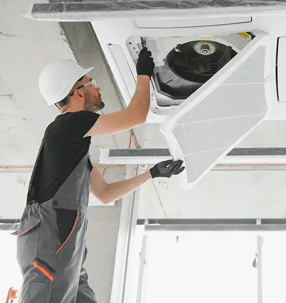 About Air Duct Rodent Removal in Santa Monica, CA