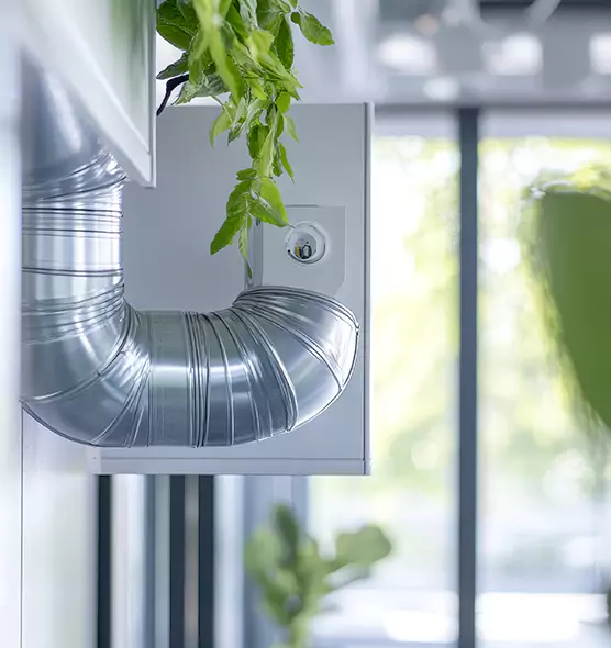 Professional Eco-Friendly Duct Cleaning Services in Santa Monica, CA
