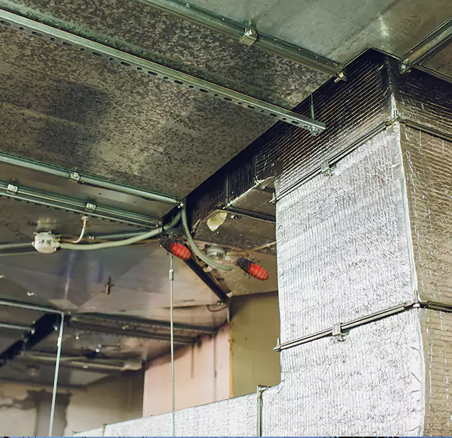 Why Homeowners & Businesses Trust Us in Santa Monica, CA?