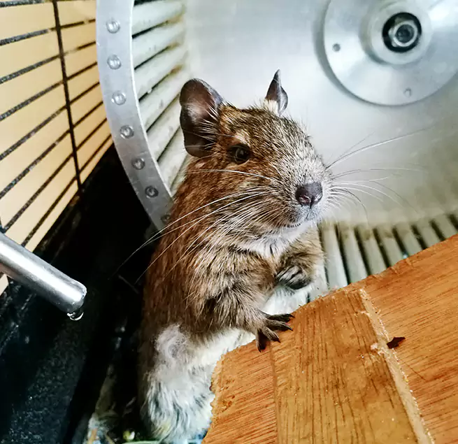 Why Homeowners & Businesses Trust Us Santa Monica, CA?