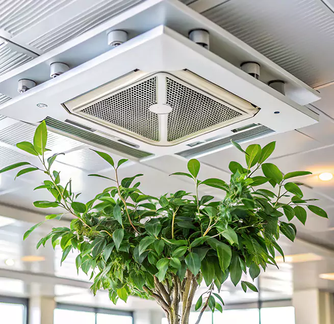 Why Homeowners & Businesses Trust Us in Santa Monica, CA