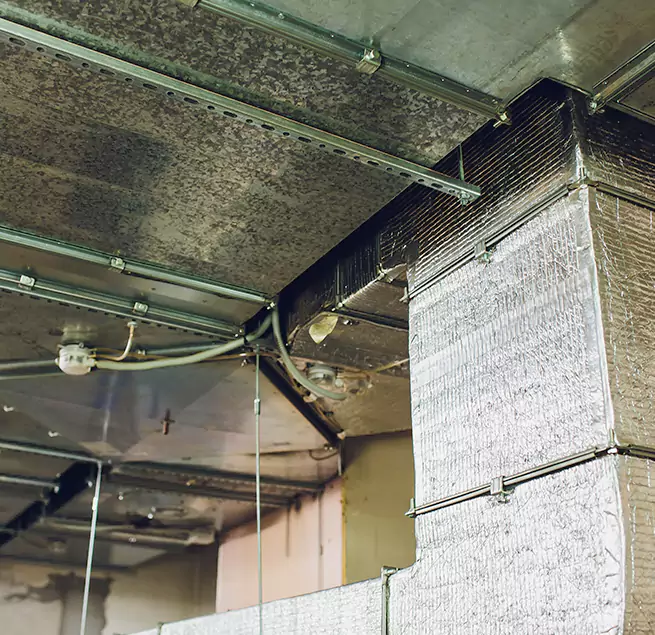 Why Homeowners & Businesses Trust Us in Santa Monica, CA?