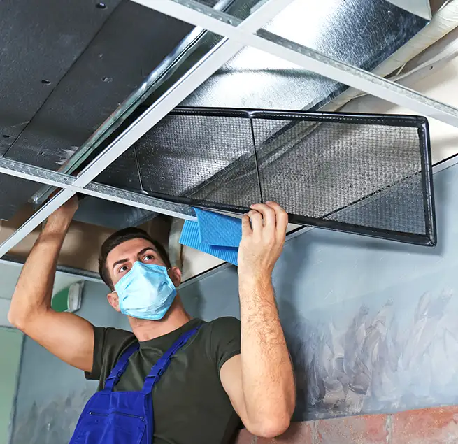 Why Homeowners & Businesses Trust Us in Santa Monica, CA?